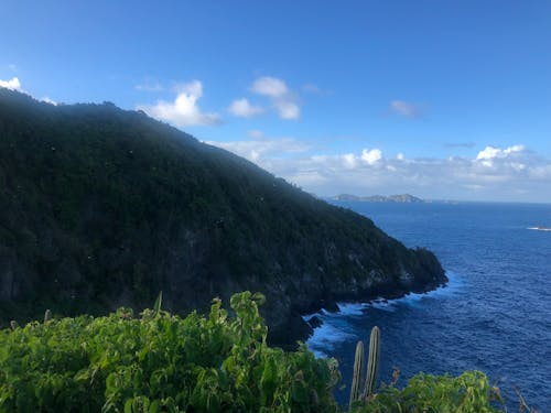 Foto d'estoc gratuïta de Carib, illa, penya-segat