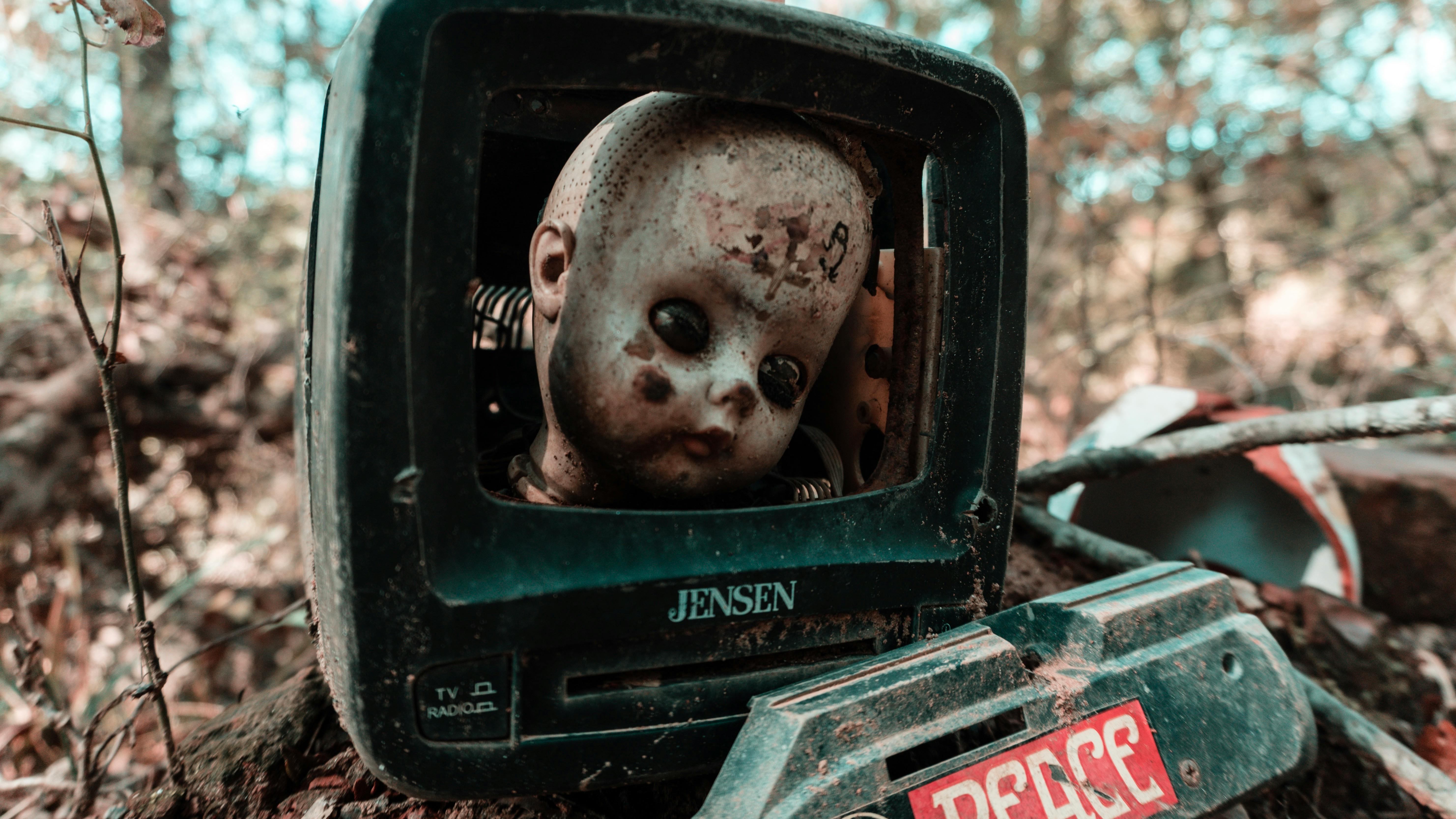 close up of a doll head in a box