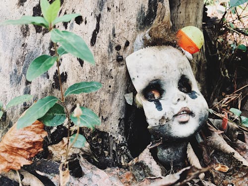 Close up of a Doll Head on the Ground