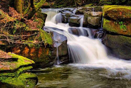 Foto d'estoc gratuïta de cascada, fluint, paisatge