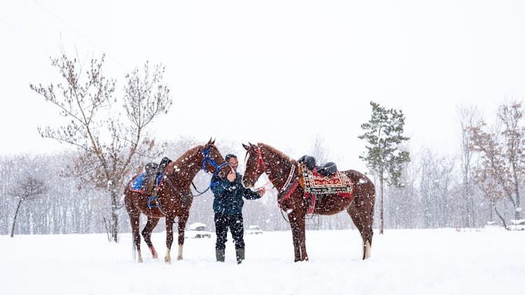 Man With Horses In Winter