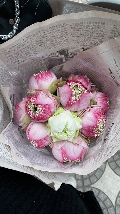 Bouquet of Pink Roses