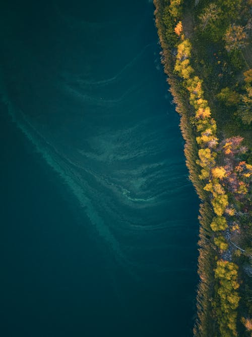 Aerial View of a Lakeshore