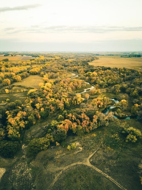 Photo of an Autumn Landscape 