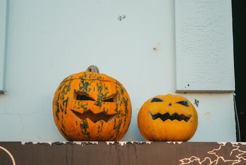 Immagine gratuita di avvicinamento, decorazione, halloween