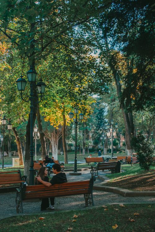 Free A peaceful autumn afternoon in a park with benches and a couple enjoying the scenery. Stock Photo