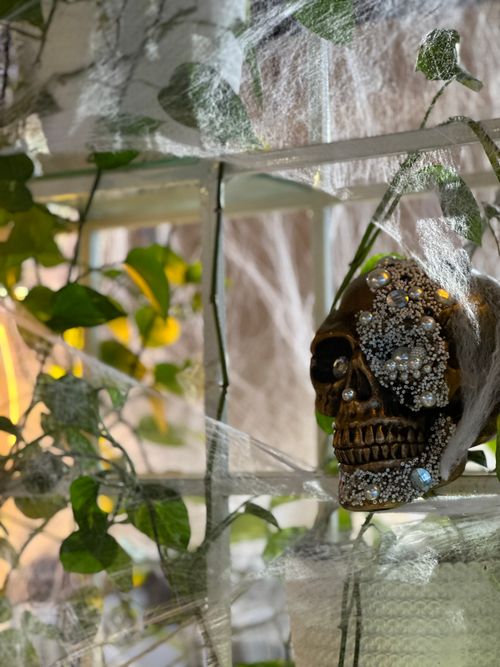 Free Halloween 🎃  Stock Photo