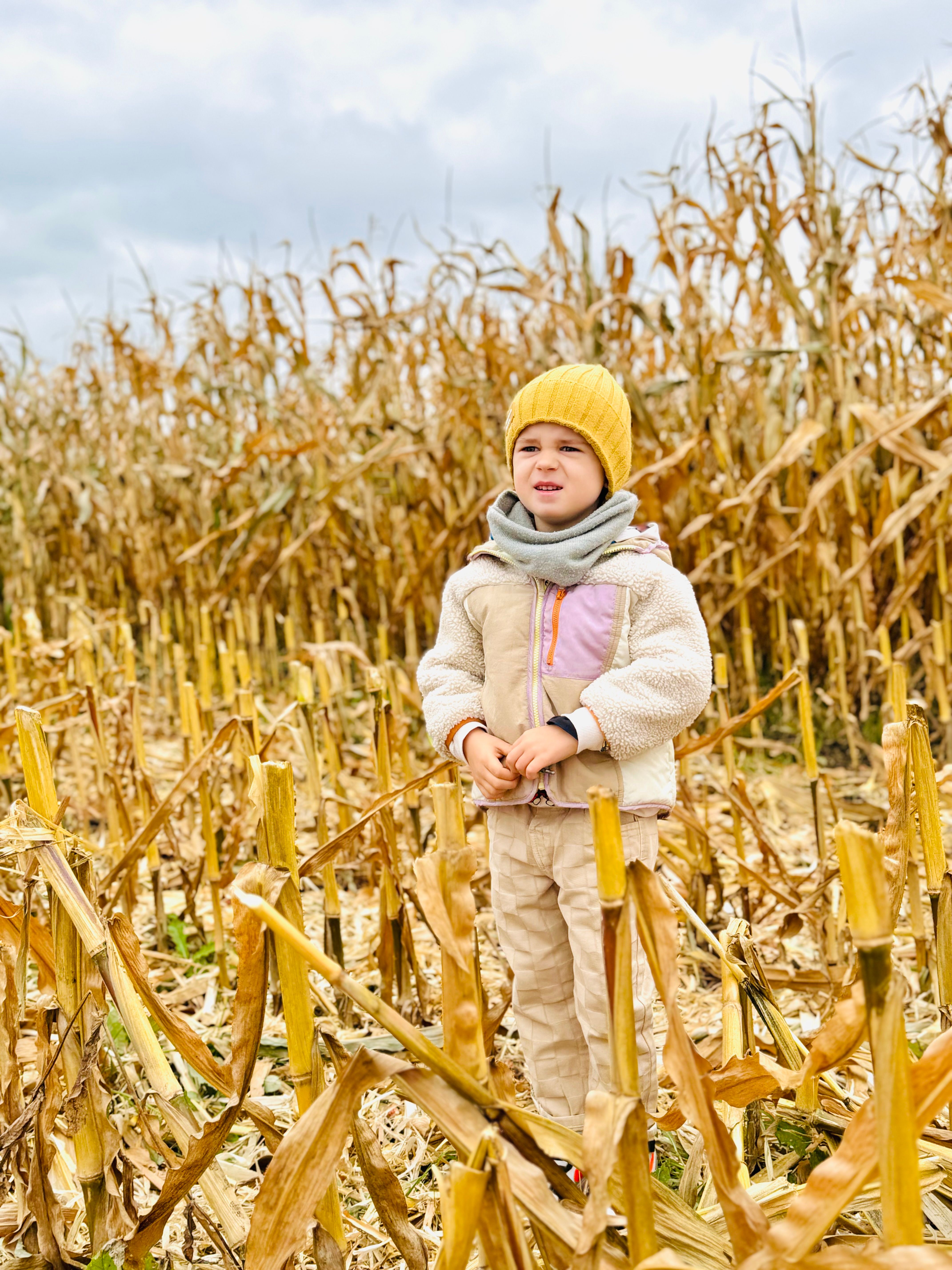 Young child standing in a cornfield, bundled up for autumn weather.