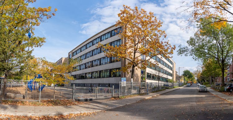 School In Town In Autumn