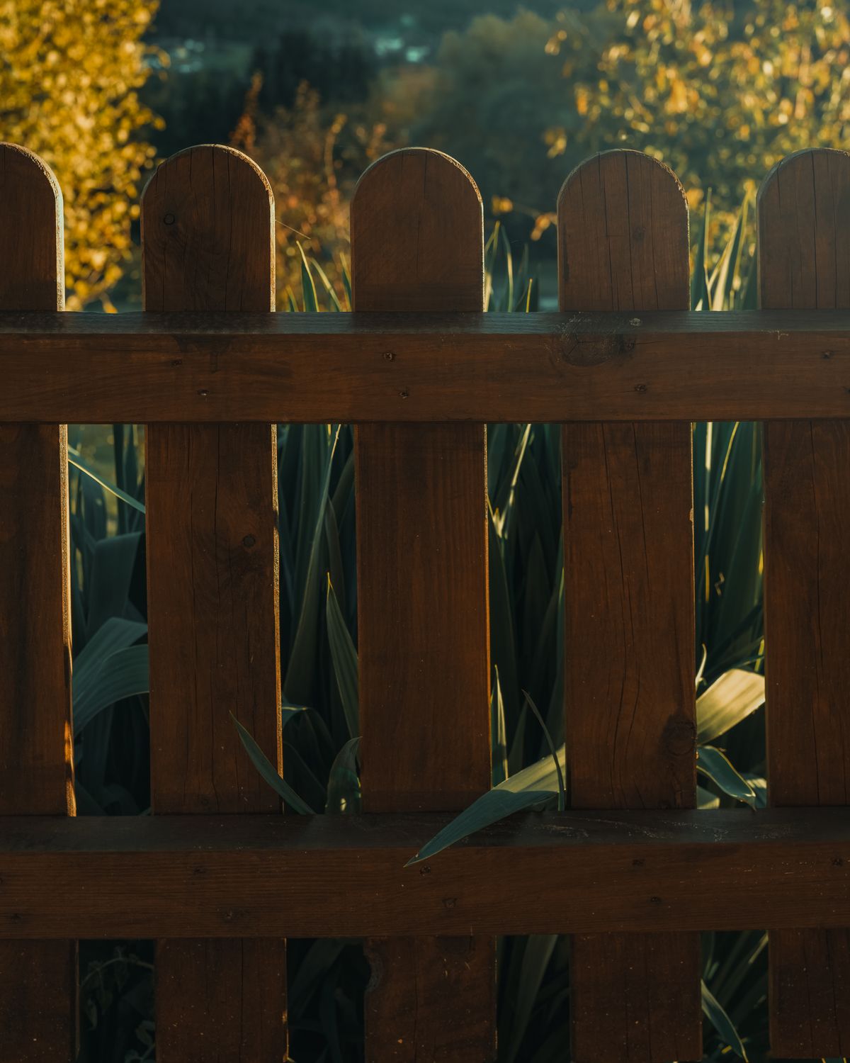Recently built cedar fence by Cedarline