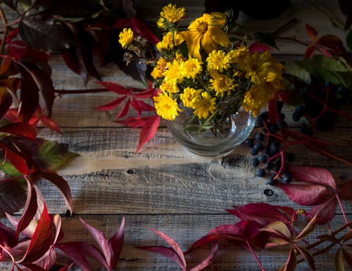 Imagine de stoc gratuită din afiș, decorațiune, floare