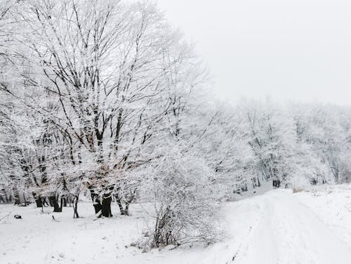 Kostenloses Stock Foto zu feldweg, kalt, landschaft