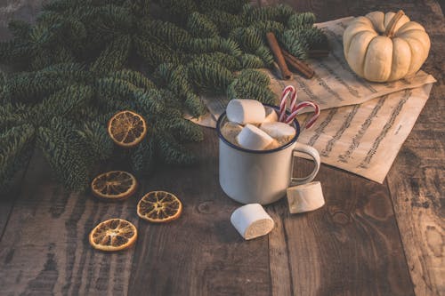 Základová fotografie zdarma na téma detail, dřevěný, dřevo