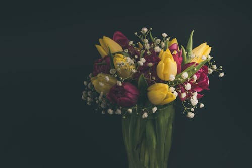 Multicolored Tulips in Vase