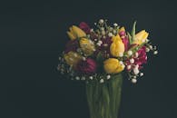 特写镜头中，花瓶里一束充满活力的郁金香，黄色与红色的花朵间点缀着精致的白色填充物