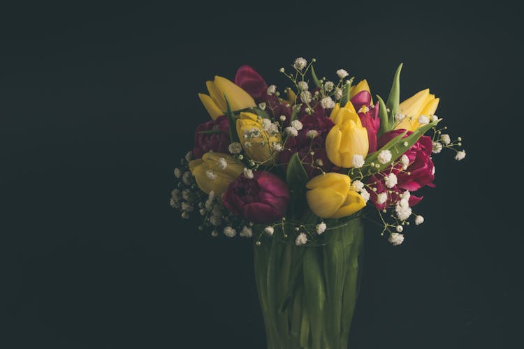 Multicolored Tulips In Vase