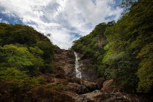 Бесплатное стоковое фото с водопад, водопад фон, водопады