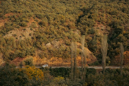 Asphalt Road on a Mountainside