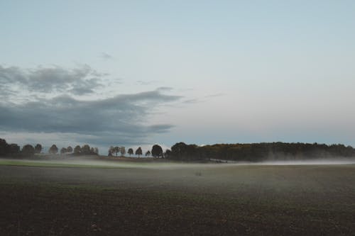 Fog over Rural Field