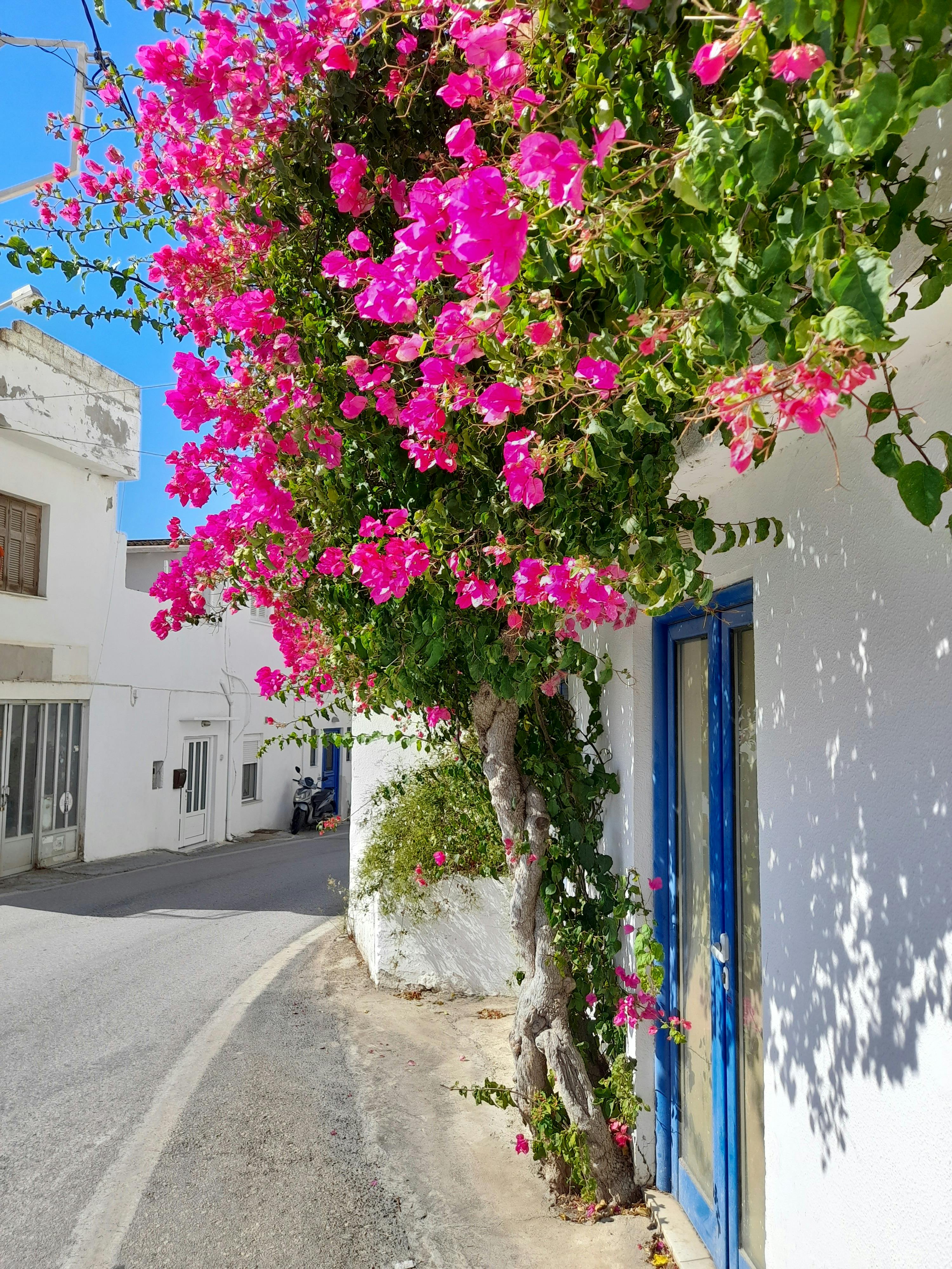 Itinerary Agia Galini,Heraklion,Plakias,Rethimno