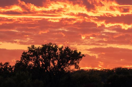 Free Silhouetted trees under a vivid fiery sky during a dramatic sunset. Stock Photo