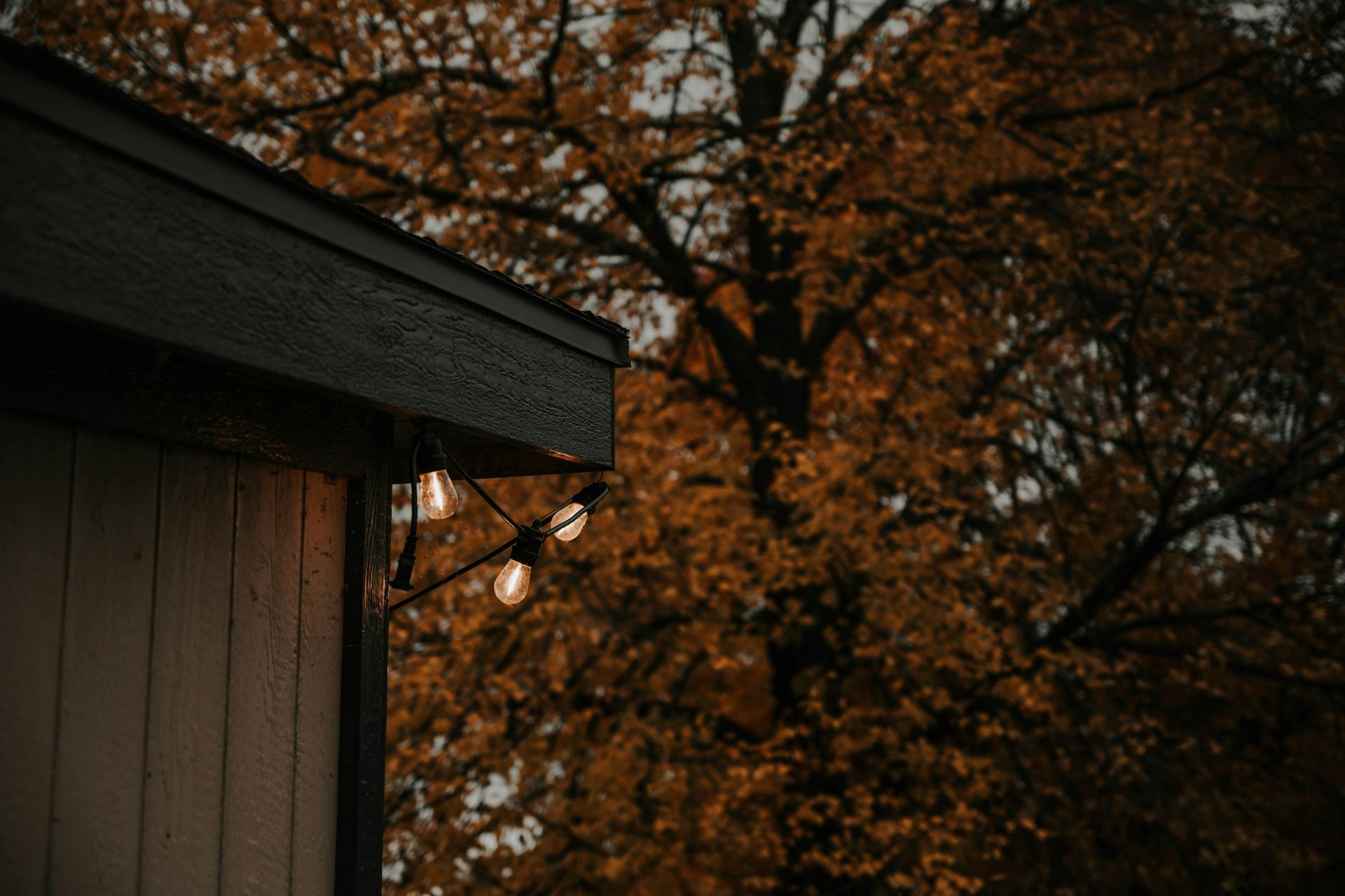 Lamps Lit under a House Roof