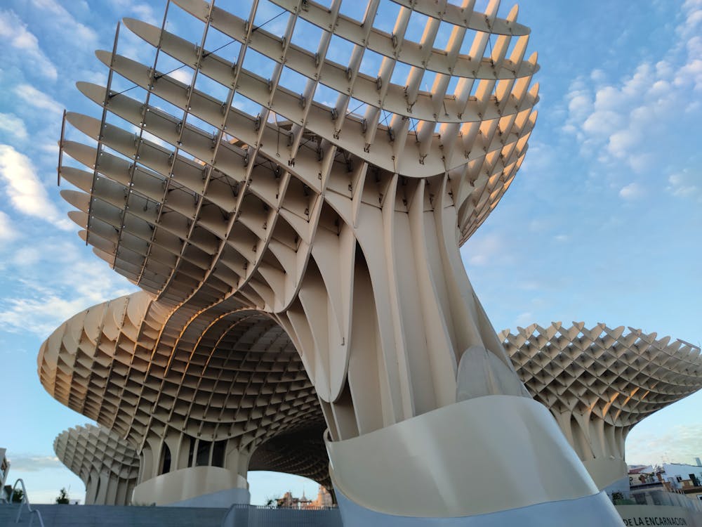 setas de Sevilla en la plaza de la Encarnación