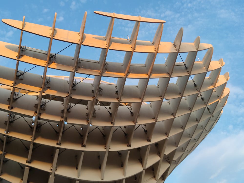 setas de Sevilla en la plaza de la Encarnación | fotografía 3