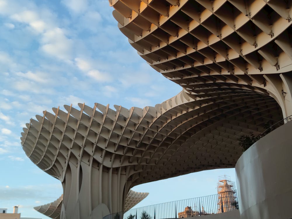setas de Sevilla en la plaza de la Encarnación | fotografía 9