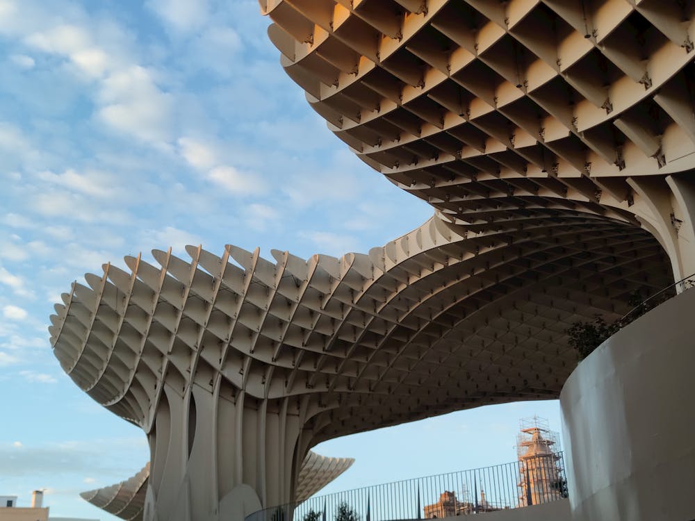 setas de Sevilla en la plaza de la Encarnación