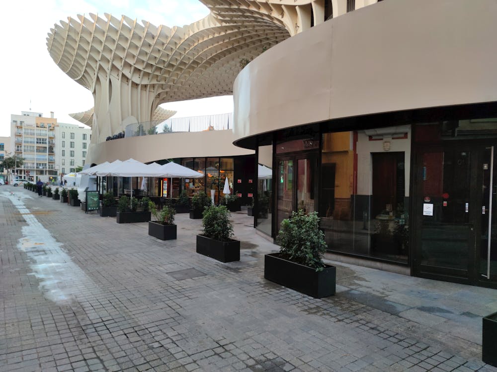 setas de Sevilla en la plaza de la Encarnación