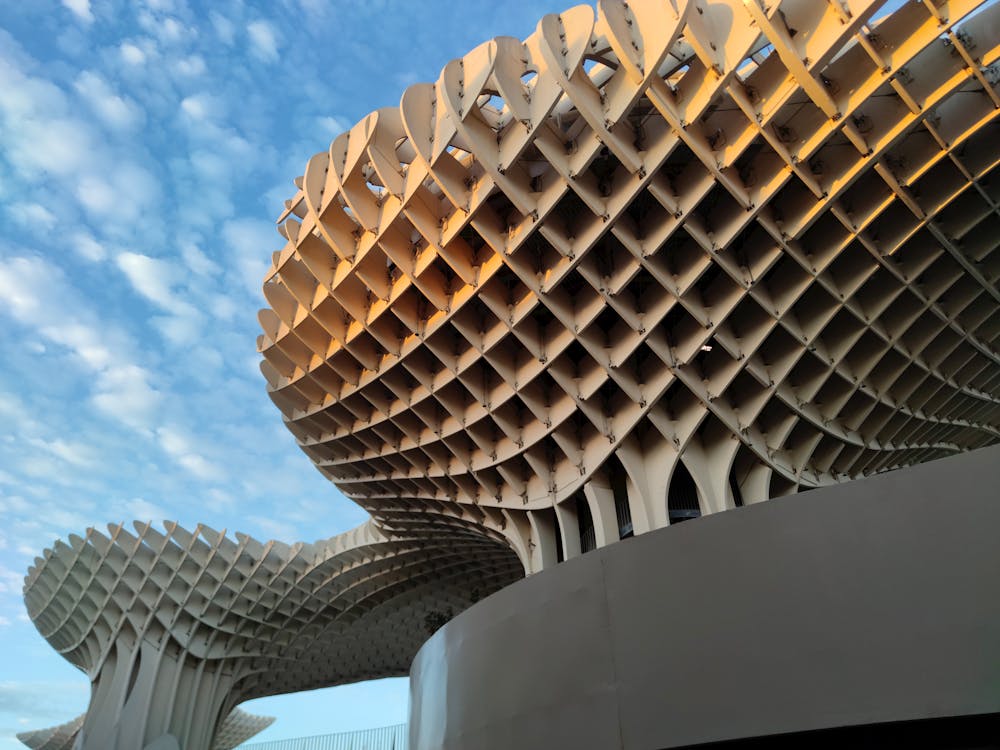 setas de Sevilla en la plaza de la Encarnación