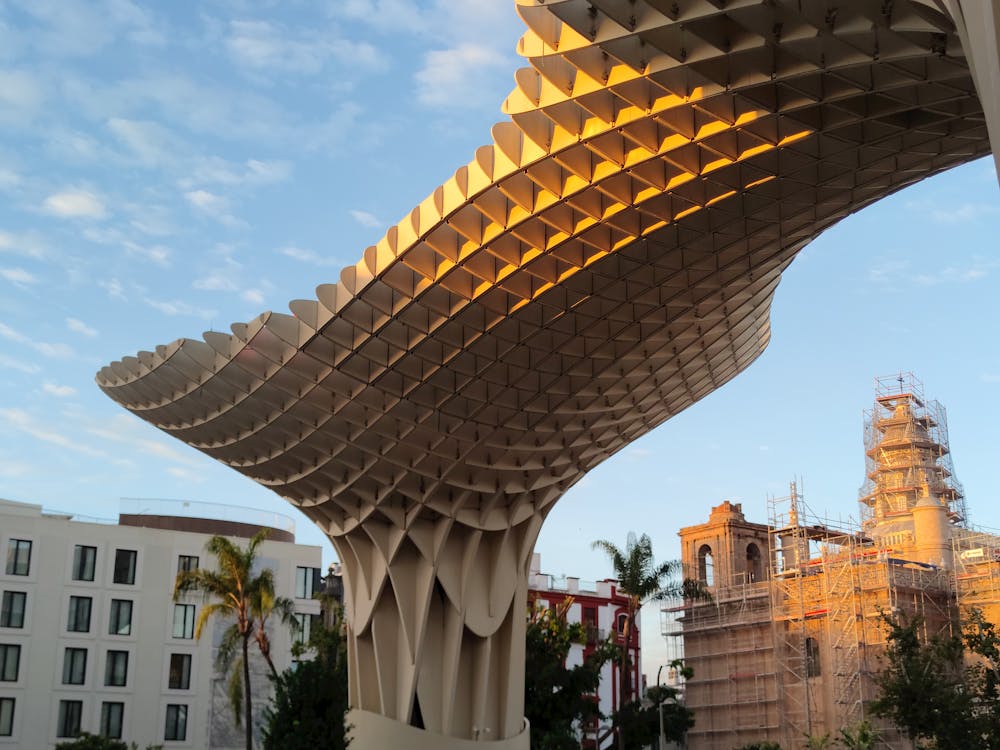 setas de Sevilla en la plaza de la Encarnación