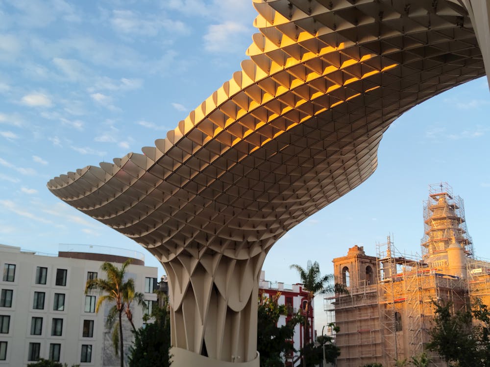 setas de Sevilla en la plaza de la Encarnación | fotografía 13