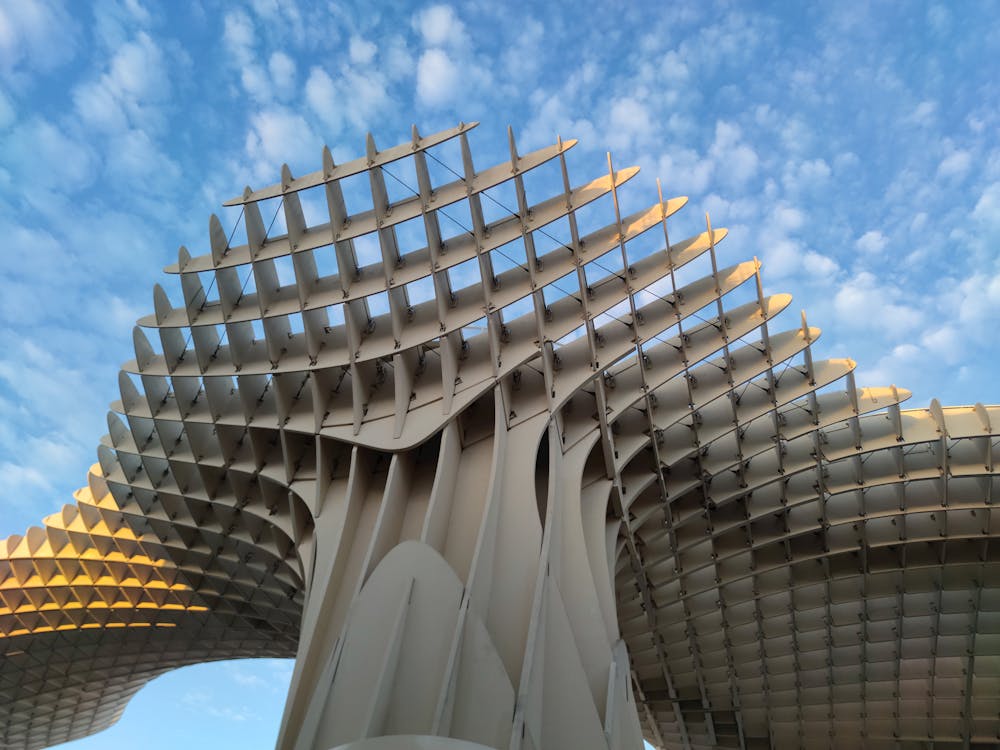 setas de Sevilla en la plaza de la Encarnación