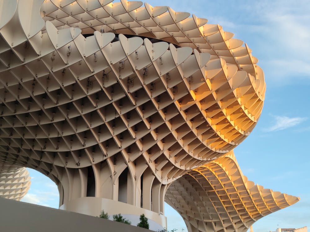 setas de Sevilla en la plaza de la Encarnación