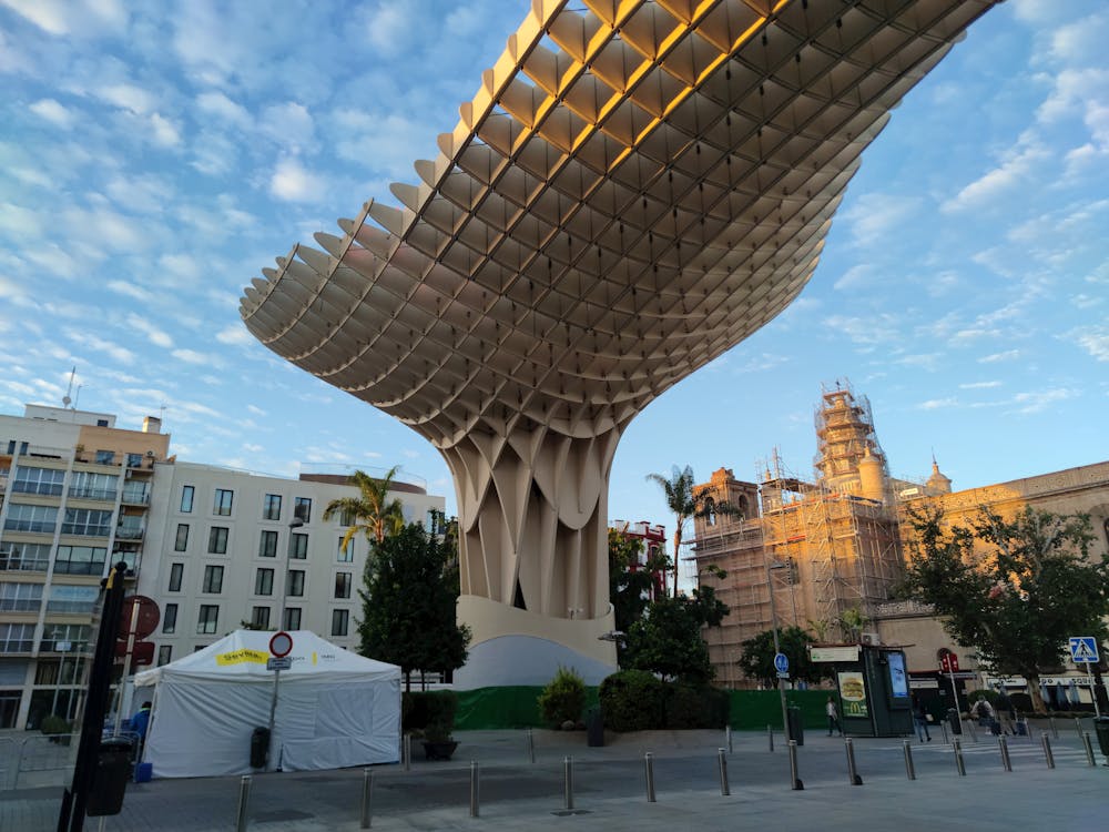 setas de Sevilla en la plaza de la Encarnación