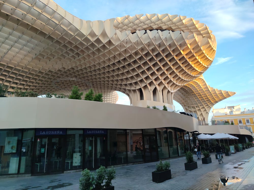 setas de Sevilla en la plaza de la Encarnación