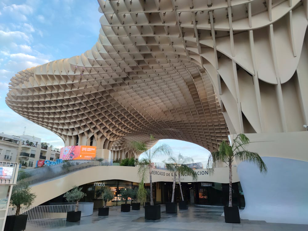 setas de Sevilla en la plaza de la Encarnación