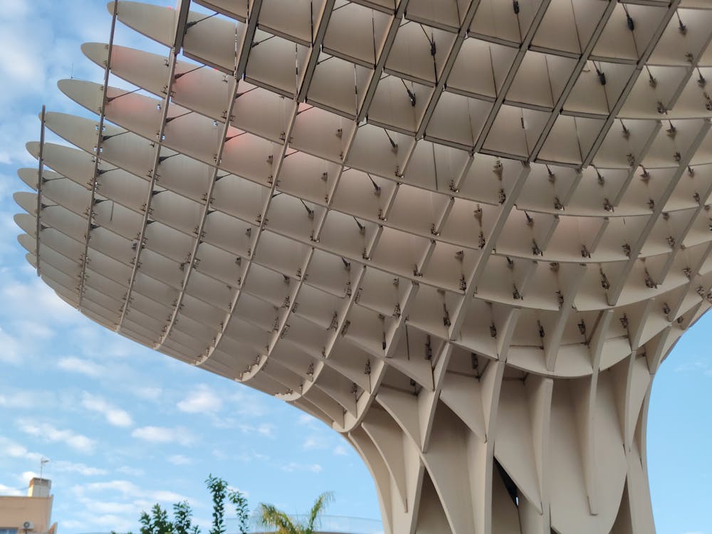 setas de Sevilla en la plaza de la Encarnación