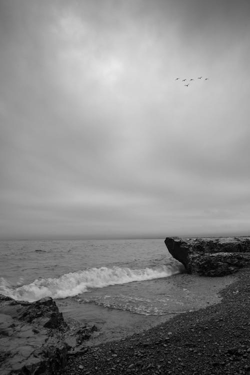 Rocks and Wave on Sea Shore in Black and White