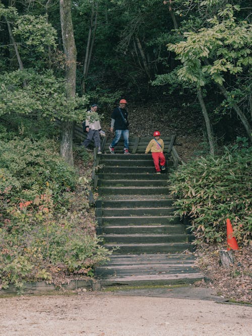 Mother and Father with Son on Stairs in Forest