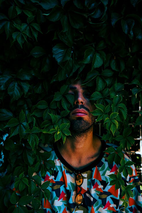 Man Standing between the Ivy Leaves 