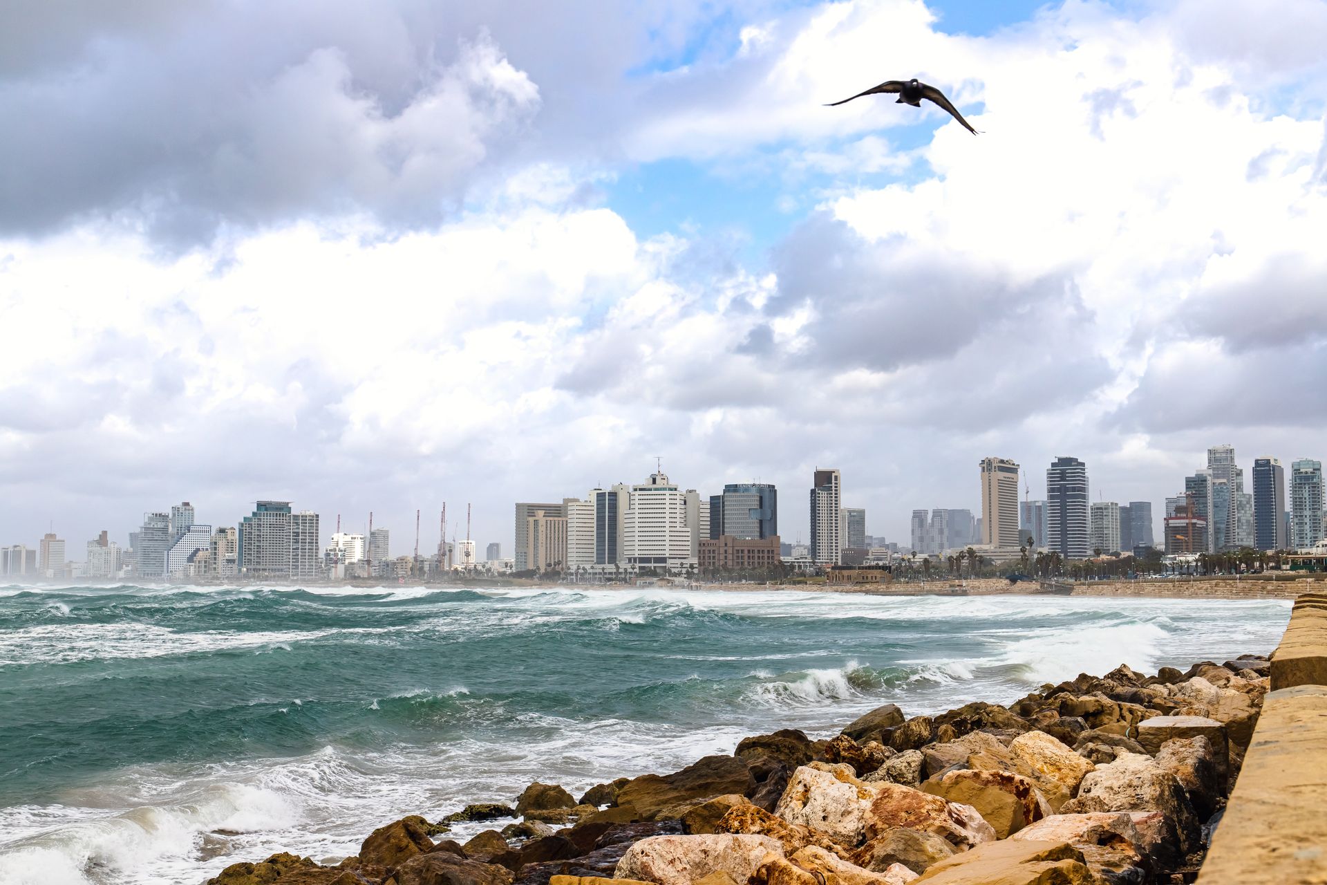 Tel Aviv coastline on a dim overcast morning