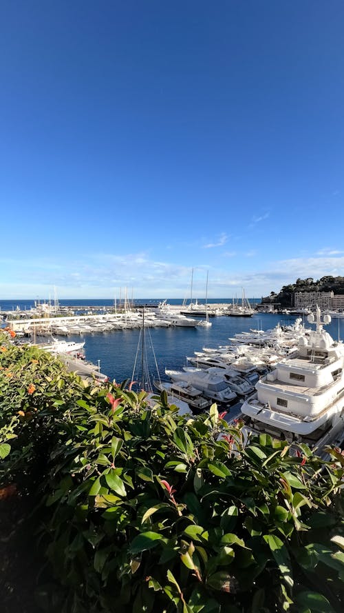 View of Boats and Yachts in the Port under Blue Sky 