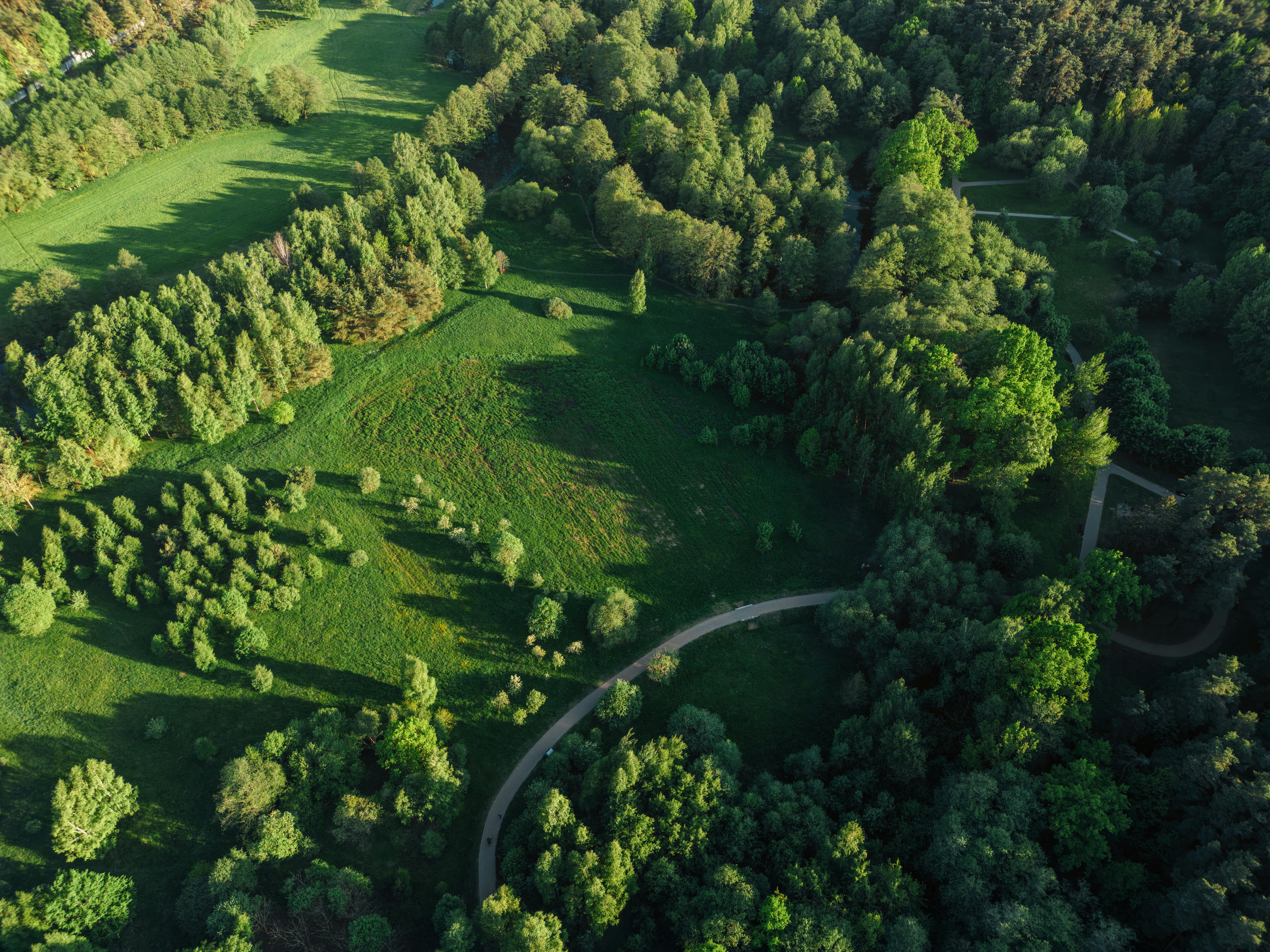 Nature-Based Solutions: How restoring ecosystems can fight climate change and protect communities — Photo by Siarhei Nester o