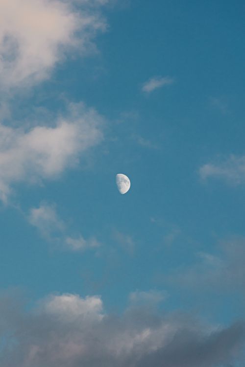 Free Captivating evening scene featuring a half moon surrounded by light clouds in a serene blue sky. Stock Photo