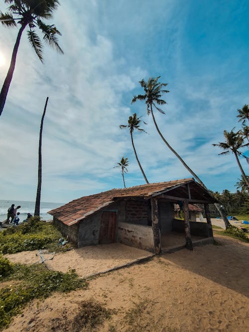 Ingyenes stockfotó fekete homok, fekete homokos strand, India témában