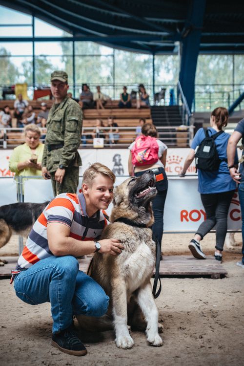 Free A smiling man poses with a dog at an indoor dog show, surrounded by people and activity. Stock Photo