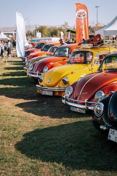 A lineup of colorful vintage Volkswagen Beetles displayed at an outdoor car show.